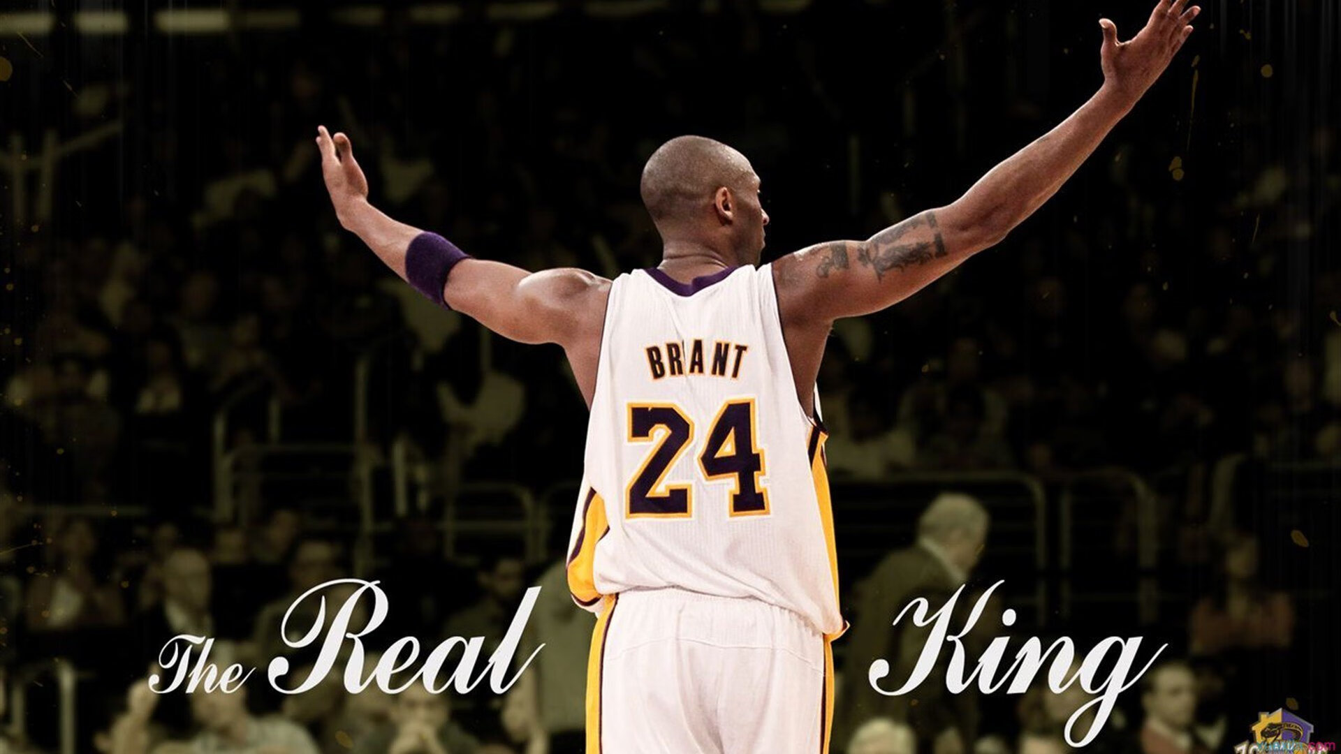 全明星技艺：明星赛上的惊艳表演，全明星表演赛都有谁